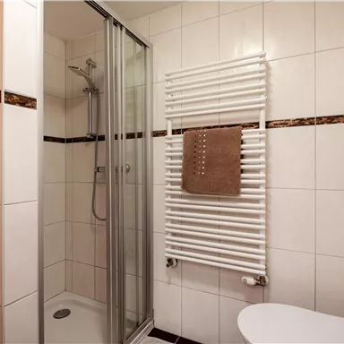 Ein modernes Badezimmer mit Dusche und einem Handtuchwärmer. Die Wände sind hell gefliest und es gibt eine Toilette in der Ecke.