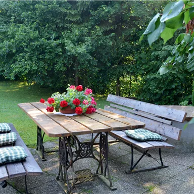 A beautiful garden with a wooden table and benches. On the table, there is a flower arrangement with red geraniums.
