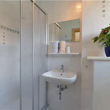 A modern bathroom with a glass shower and a small sink. On the shelf, there is a plant and some towels.