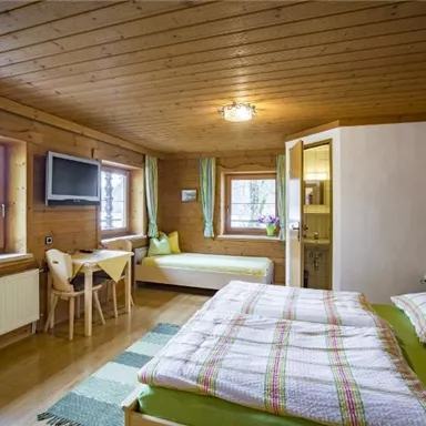 Ein gemütliches Schlafzimmer mit Holzverkleidung und einem großen Fenster. Es gibt ein Doppelbett, einen Fernseher und einen zusätzlichen Schlafplatz.
