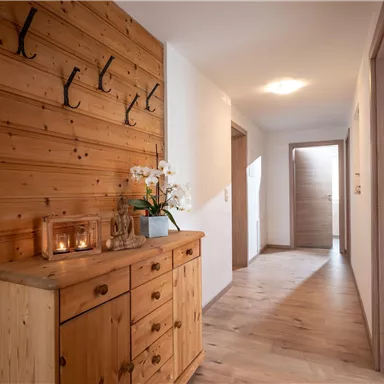 A bright hallway with wooden paneling on the wall and a wooden dresser. Several coat hooks are hanging on the wall, and a plant is on the dresser.