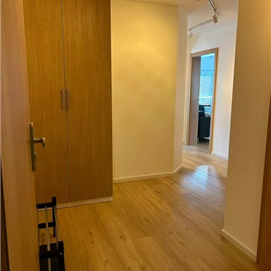 A bright hallway with wooden flooring and a large wardrobe. In the background, another room is visible.