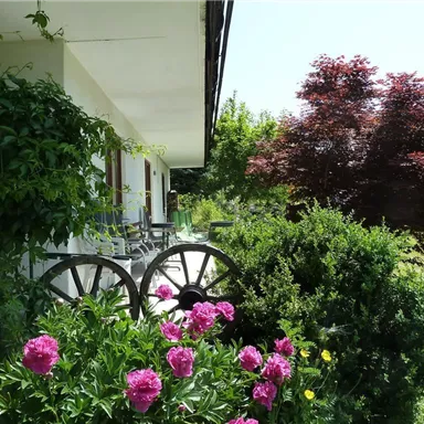 An idyllic outdoor area with flowers and green bushes. In the background, a few chairs and a tree can be seen.