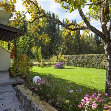 A beautiful garden with colorful flowers and a well-maintained lawn. In the background, there are tall trees and a hedge.