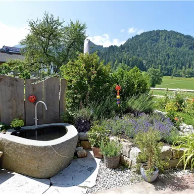A beautiful garden with flowers and a tranquil pool. In the background, green hills and a bright blue sky can be seen.