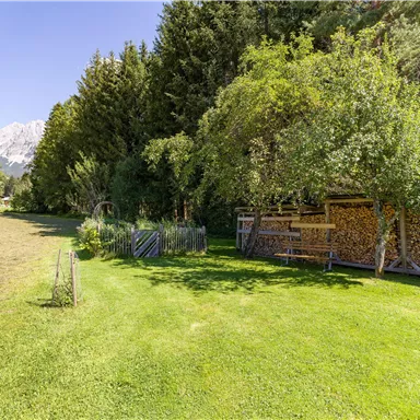 A quiet garden with green grass and trees. In the background, wood stacks and mountains can be seen.