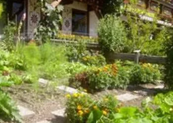 A colorful garden with various plants and flowers. In the background, a traditional house can be seen, surrounded by green plants.