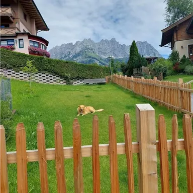 Eine grüne Wiese mit einem Hund, der vor einem Holzzaun liegt. Im Hintergrund sind Berge und Wolken sichtbar.