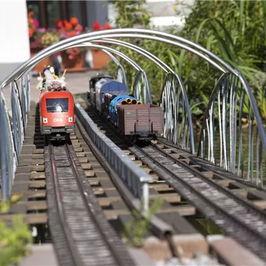 A model railway crosses a small bridge. In the background, green plants and colorful flowers can be seen.