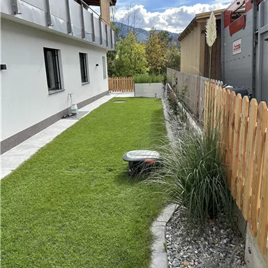 A well-maintained garden with green grass and modern plants. In the background, there is a house and a wooden privacy screen.