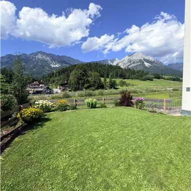 A green meadow with colorful flowers in the foreground. In the background, one can see majestic mountains under a clear blue sky.