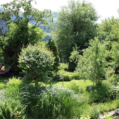 A beautiful garden with lush greenery and trees. In the background, mountains can be seen and a cozy lounger invites you to relax.