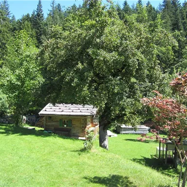 Ein gemütliches Holzhaus steht in einer grünen Wiese, umgeben von Bäumen. Die Umgebung ist sonnig und einladend.