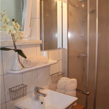 A modern bathroom with a sink, towels, and a shower cabin. There is a decorative plant and bright tiles on the walls.