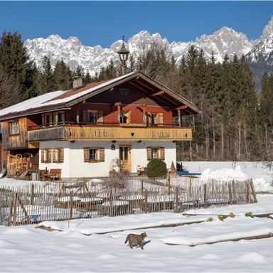 A charming house in the snow with mountains in the background. A small animal runs by in the foreground.