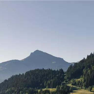 A picturesque mountain with a clear skyline, surrounded by green forests. The landscape radiates tranquility and naturalness.