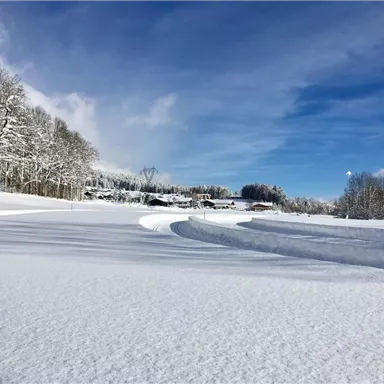 Eine verschneite Landschaft mit frischem, unberührtem Schnee. Im Hintergrund sind Bäume und ein blauer Himmel zu sehen.