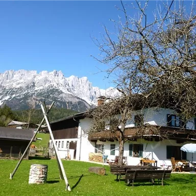 A picturesque house in the mountains with snow-covered peaks in the background. The garden is green and there is a view of nature.