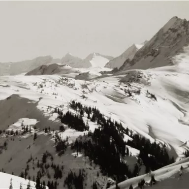 Eine schneebedeckte Berglandschaft mit hohen Gipfeln und tiefen Tälern. Die sanften Hügel sind mit Bäumen gesäumt.
