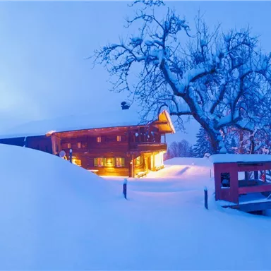 A beautiful house in the snow, illuminated by warm light.  
Surrounded by a peaceful winter landscape with snow-covered trees.