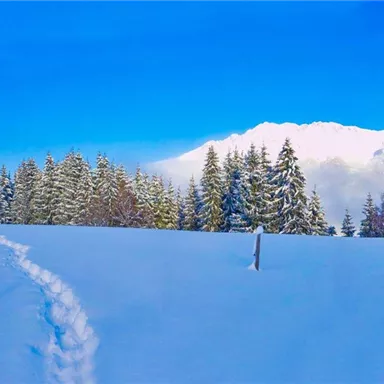 A snowy landscape with mountains in the background and a clear blue sky. Footprints in the snow lead through the idyllic winter scenery.
