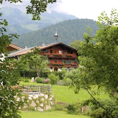 Ein traditionelles Holzhauhaus umgeben von grünen Bäumen und Hügeln. Die Landschaft ist friedlich und typisch für die Alpenregion.