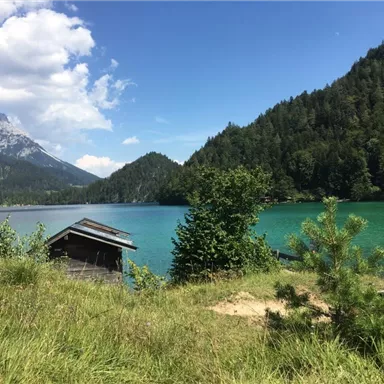 A clear lake surrounded by green forests and mountains. In the foreground stands a small wooden cabin.