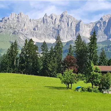Eine schöne Landschaft mit grünen Wiesen und hohen Bergen im Hintergrund. Im Vordergrund sind einige Bäume und ein typisches Haus zu sehen.