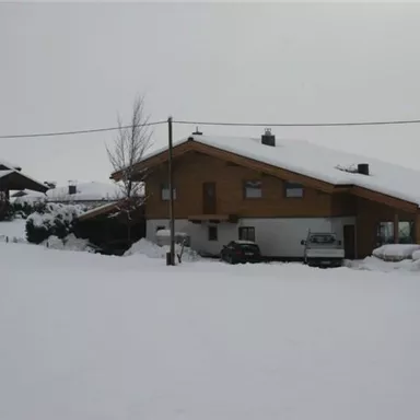 A snow-covered landscape with two houses. The surroundings are calm and wintry.
