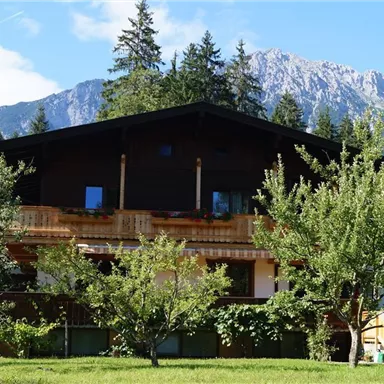 A beautiful wooden house surrounded by trees and a picturesque mountain landscape. The sky is clear and sunny.