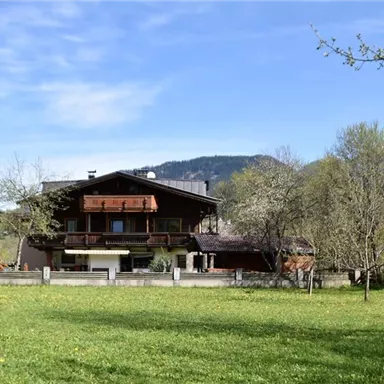 A charming house surrounded by green meadows and trees. In the background, gentle hills and a blue sky can be seen.