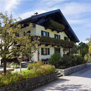 A traditional house with a wooden balcony and colorful flower boxes. The surroundings are green and inviting, perfect for a quiet day outdoors.