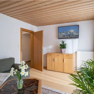 Ein gemütliches Wohnzimmer mit einem grünen Sofa und einem Holzschrank. An der Wand hängt ein Fernseher und viel Tageslicht strömt durch das Fenster.