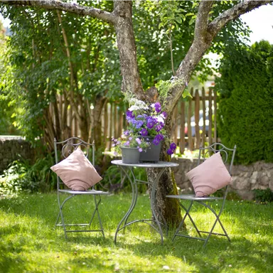 A beautiful garden with a table and two chairs under a tree. On the table is a flower pot with purple flowers.