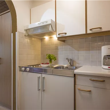 A small, well-equipped kitchen with a sink, a kettle, and a plant on the countertop. The room has bright walls and wooden cabinets.