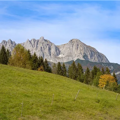 A picturesque mountain landscape with high peaks and lush, green grass in the foreground. The sky is clear and bright blue.