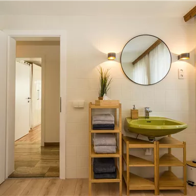 A modern bathroom with a green sink and a large mirror. Back doors lead to a bright hallway.