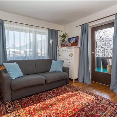 A cozy living room with a gray sofa and two cushions. In front of the sofa lies a beautiful carpet, and large windows let in a lot of light.