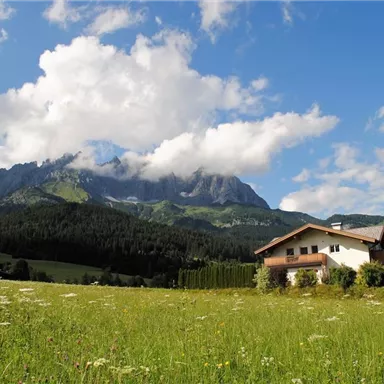 A peaceful countryside landscape with mountains in the background. The sky is blue with some clouds and the meadow is green and blooming.