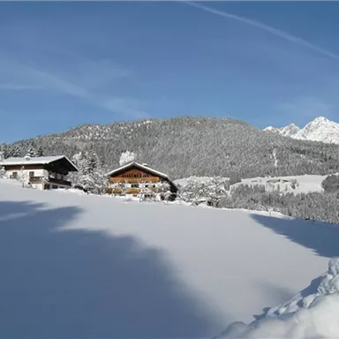 A picturesque winter landscape with snow-covered hills and Christmas trees. In the background, separate charming cabins can be seen in front of majestic mountains.