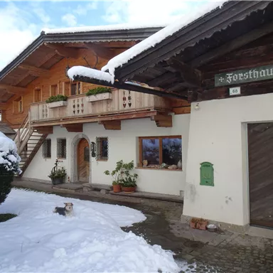 A charming wooden house in winter with a snow-covered facade. The entrance is inviting and decorated with plants.