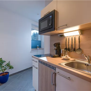A modern kitchen with a sink, a microwave, and kitchen utensils. In the corner, there is a small plant in a blue pot.