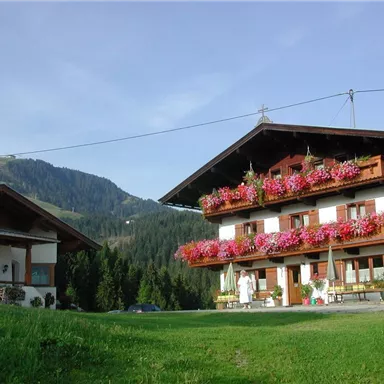 A traditional alpine house with flower balconies and an outbuilding. The surroundings are green and mountainous, ideal for a peaceful stay in nature.