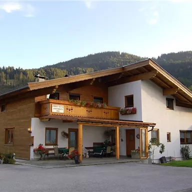 A beautiful house in alpine style with wooden cladding. In the background, gentle hills and trees can be seen.
