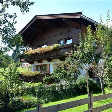 A charming old wooden house with a balcony and many flowers. Surrounded by green meadows and trees in an idyllic landscape.