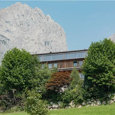 Ein modernes Haus umgeben von Bäumen und einer schönen Wiese. Im Hintergrund sind beeindruckende Berge zu sehen.