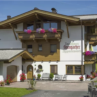 Ein schönes Alpenhaus mit blühenden Balkonblumen. Die Fassade ist freundlich und einladend, umgeben von einer grünen Landschaft.