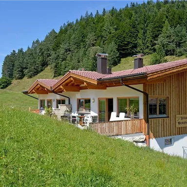 A cozy house in alpine style, surrounded by green meadows and trees. In the background, a picturesque mountain landscape stretches out.