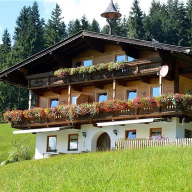 A charming wooden house with blooming balcony boxes in a green landscape. Surrounded by trees and meadows, it radiates rural charm.