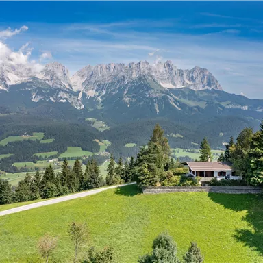 A picturesque landscape with high mountains in the background and a green valley. A cozy house surrounded by trees and meadows completes the scene.